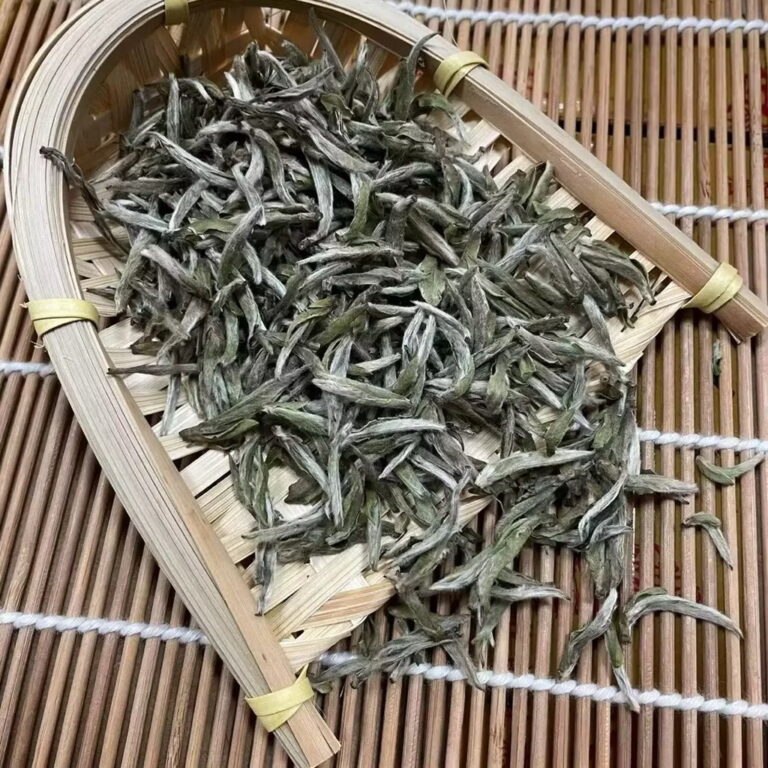 Silver Needle
